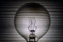 Electric light bulb showing the wire element