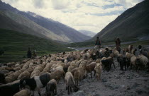 Goat herders in steep sided valley.goatherd  flock. Asia Asian Farming Agraian Agricultural Growing Husbandry  Land Producing Raising Pakistani Scenic
