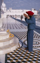 Golden Temple.  Barefooted Sikh man praying in front of shrine with garland of marigold flowers lying across marble steps.Worship Asia Asian Bharat Inde Indian Intiya Male Men Guy One individual Solo...