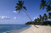 Sandy beach with clear blue sea water and palm trees behind. Beaches Caribbean Resort Seaside Shore Tourism West Indies