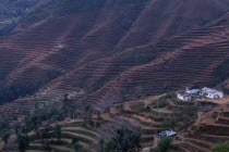Terraced hillside with buildings on lower slopes.countryside  cultivated  cultivation  Asia Asian Farming Agraian Agricultural Growing Husbandry  Land Producing Raising Nepalese Scenic