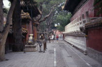 The Forbidden City.  Interior with tourist visitors.
