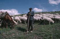 Shepherd with horse and flock.