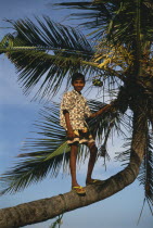 Boy standing on a branch in a coconut treeTangalle Asia Asian Beaches Farming Agraian Agricultural Growing Husbandry  Land Producing Raising Kids Llankai One individual Solo Lone Solitary Resort Sand...