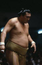 Wajima.  Sumo grand champion.
