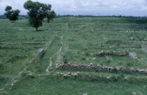 Sirkap mound in ancient site.