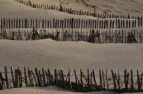 Lines of picket fencing amongst sand dunes.