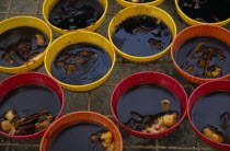 Mole  a traditional dish of a thick  rich sauce containing chocolate and spices and often served with poultry.American Classic Classical Domestic Foul Hispanic Historical Latin America Latino Mexican...