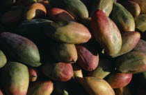Mangoes for sale at marketAmerican Hispanic Latin America Latino Mexican