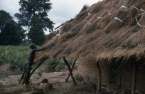 Woman thatching mud brick village house.building home shelter rural African Female Women Girl Lady One individual Solo Lone Solitary Senegalese 1 Female Woman Girl Lady Single unitary