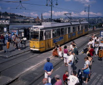 Electric yellow tram and groups of people gathered at tram stopPublic TransportEuropean Eastern Europe Hungarian