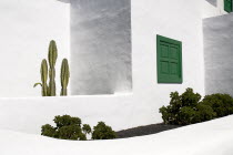 La Casa Museo a La Campesino or the Farmhouse Museum.  Cactus growing against white walls of museum building with green painted window shutter.Espainia Espana Espanha Espanya European Hispanic Southe...