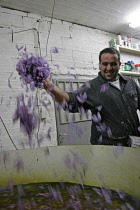 Ano Komi.  Greek farmer using combination of mechanical and hand technique to produce air in order to separate the saffron from the flower.culturetraditionkrokoskrocuscrokoscrocossafransaffran...