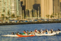 Honolulu. Outrigger canoeists training in Ala Wai Yacht Harbour.American North America Pacific Islands Polynesia United States of America Many Islands Polynesian  American North America Pacific Isla...