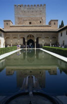 Alhambra Palace pool