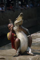 Man wrestling crocodile with crowds watching from behind barrier.Asian Male Men Guy Prathet Thai Raja Anachakra Thai Siam Southeast Asia Male Man Guy Siamese