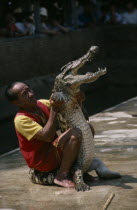 Man wrestling crocodile with crowds watching from behind barrier.Asian Male Men Guy Prathet Thai Raja Anachakra Thai Siam Southeast Asia Male Man Guy Siamese