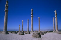 Fifth century BC Archaemenid palace complex.  Stone columns originally supporting the Central Hall of Apadana Palace.