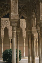 Alhambra Palace.  Detail of arches lining the Patio de los Leones.  Carved stucco dating from the Moorish Nasrid 13th century period.