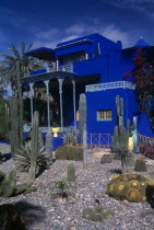 The Jardin Majorelle . Ornamental garden with cactus and palm trees and Colbolt blue building