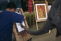 An elephant from Maesa Elephant Camp with his art teacher painting a picture of orchidsAsian Prathet Thai Raja Anachakra Thai Siam Southeast Asia Siamese