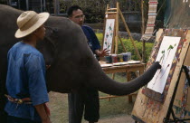 An elephant from Maesa Elephant Camp with his art teacher and handler painting a picture of orchidsAsian Prathet Thai Raja Anachakra Thai Siam Southeast Asia Siamese