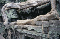 Ta Prohm.  Huge banyan tree roots growing over and crushing stone wall.Asian Cambodian Kampuchea Religion Southeast Asia History Kamphuchea Religious