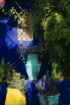 The Jardin Majorelle owned by Yves St Laurent.  Detail of planting against vivid blue wall with metal screen insert.