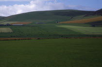 Agricultural landscape showing field patterns and mix of dairy and arable farming.Agriculture Alba Cultivatable Farmland European Farming Agraian Agricultural Growing Husbandry  Land Producing Raisin...