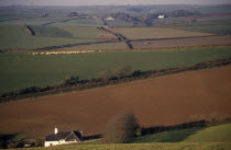 Agricultural landscape and field patterns with white painted  thatched house in foreground.  Areas of plough  pasture and sheep field delineated by hedges.European Farming Agraian Agricultural Growin...