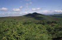 Rocky granite outcrop or tor with green bracken in foreground and shadows from clouds cast over moorland in centre.Center European Great Britain Northern Europe Scenic UK United Kingdom White British...