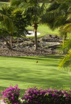 Raffles Resort Trump International Golf Course designed by Jim Fazio. The practice green
