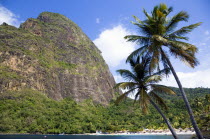 Val des Pitons The white sand beach at the Jalousie Plantation Resort Hotel with the volcanic plug of Petit Piton beyond and tourists on sunbeds beneath palapa sun shades