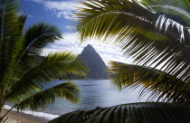 The volcanic plug mountain of Petit Piton seen through the branches of a coconut palm treeCaribbean West Indies Windward Islands Scenic  Caribbean West Indies Windward Islands Scenic