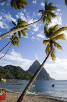 Fishing boats on the beach lined with coconut palm trees with the town and the volcanic plug mountain of Petit Piton beyond