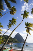 Fishing boats on the beach lined with coconut palm trees with the town and the volcanic plug mountain of Petit Piton beyond