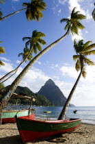 Fishing boats on the beach lined with coconut palm trees with the town and the volcanic plug mountain of Petit Piton beyondCaribbean West Indies Windward Islands Beaches Resort Sand Sandy Scenic Seas...