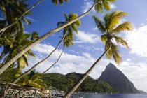 Fishing boats on the beach lined with coconut palm trees with the town and the volcanic plug mountain of Petit Piton beyond