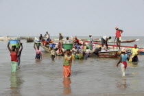 Tanji coast.  Women carrying bowls full of fish on their heads through shallow water from fishing boats to the beach and  fish market.  Gambia has the second largest fishing industry in Africa.Tanjeh...