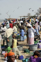 Busy fish and food market on beach crowded with mostly women and children.  Fishing boats beyond and seagulls overhead. TanjehTanjihAfricanseabazaarfishermenfishingAtlantic Oceandaily lifeB...