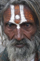 Portrait of elderly male Hindu beggar outside the Jagdish Temple.  With painted forehead  grey beard and fixed stare.Silver CityRaceCasteBelieverBeliefHoly manExpression Asia Asian Bharat Gray...