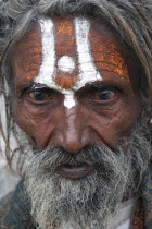 Portrait of elderly  male Hindu beggar with grey beard and painted forehead outside the Jagdish Temple. cultureethnicethnicityraceracialSilver CitybeliefbelieverfollowerHoly Manfacial expre...
