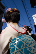 Gion District.  Back of Geisha wearing pale pink silk kimono with turquoise and silver obi.  Hair is worn up and fixed with decorative pins and flowers exposing the unpainted nape of the neck which is...