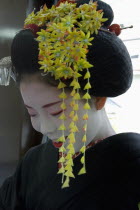 Gion District.  Portrait of a Maiko apprentice Geisha with white painted face and red painted lips wearing black kimono and hair worn up with decorative pins and flower ornamentation ready for perform...