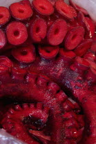 Tsukiji fish market.  Close cropped view of red octopus for sale at market   the stomach of Tokyo .seafoodtentaclerawsushiFar EastAsia Asian Japanese Nihon Nippon