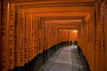 Fushimi-Inari Taisha  Fushimi-Ku Fukakusa Yabunouchi-cho.  Avenue formed by hundreds of torii gates at the Fushimi Shrine.pillarsculturereligionShintobeliefworshipFar EastAsia Asian Japanese N...