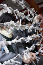 Asakusa Kannon or Senso-ji Temple.  Three young Japanese female students hanging their omikuji folded fortune telling paper slips on bars outside the temple.Shintotraditionculturereligionbelieve...