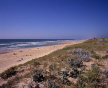 Cap de l Homy Plage.  View north along beach and sand dunes with people sunbathing and at waters edge.  Sea grasses and other vegetation on dunes in foreground.