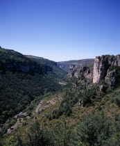 View west along Gorge de la Jonte west of Meyrueis town. Griffon Vultures  Gyps fulvus  circling high in sky above eroded cliff peaks  road and house rooftops below