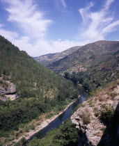 Tarn Gorge.  View west along gorge and river near Village of Prades.  Steep  tree covered hillside and clumps of vegetation clinging to crumbling rocks in foreground.